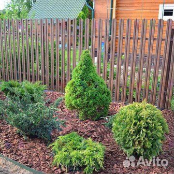 Кора лиственницы с доставкой в Львовском