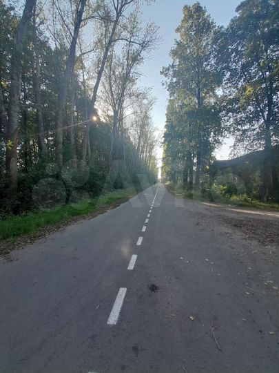 Участок 50 сот. (ИЖС)