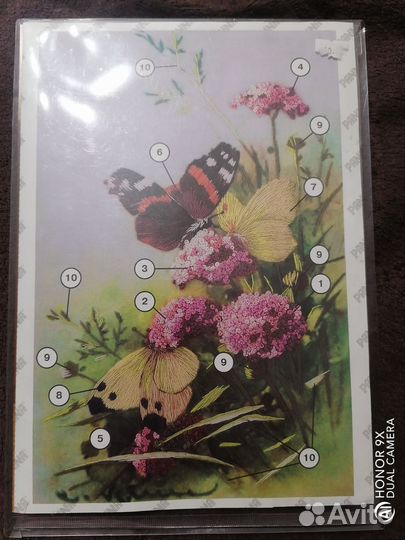 Набор для вышивания panna