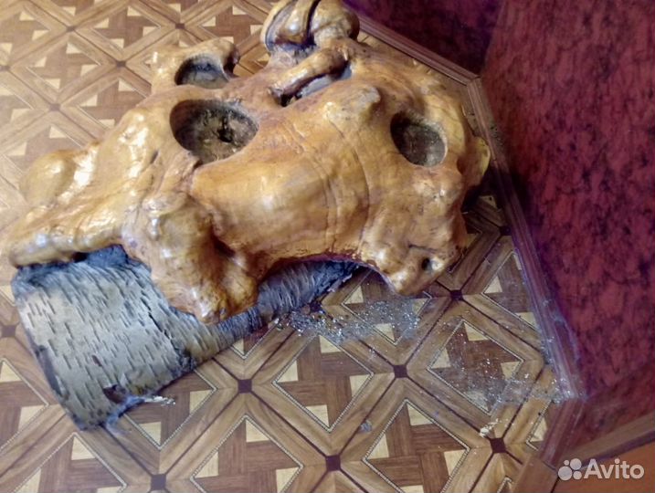 Кап березовый