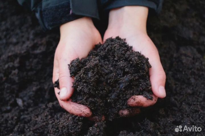 Чернозём рязанский