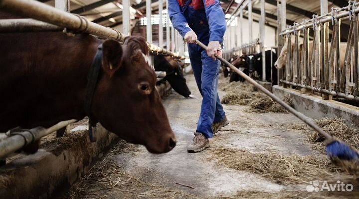 Разнорабочий Вахта без опыта работы