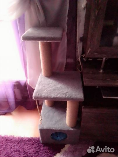 Домик для кошки новый