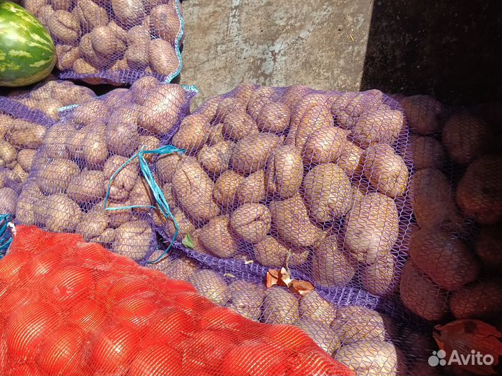 Картофель, лук, морковь
