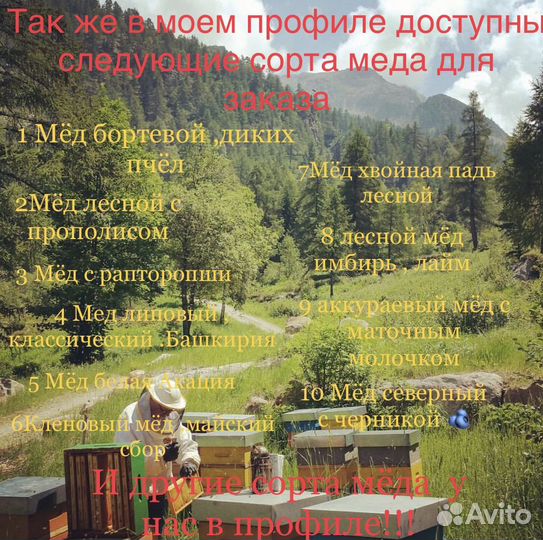 Живая перга с мёдом