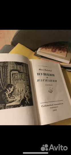 Новиков И. Пушкин в изгнании