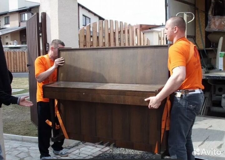 Грузоперевозки