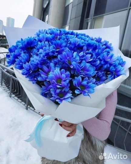 Хризантема Букеты Свежие Цветы Доставка Пермь