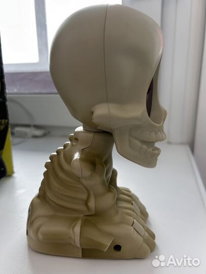 Джони черепок