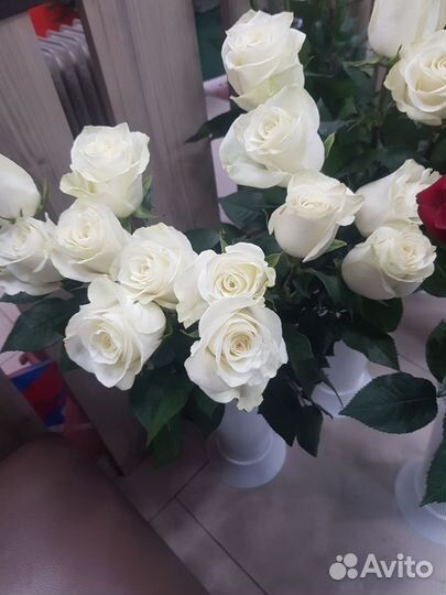 Цветы розы с доставкой