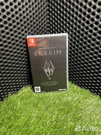 Nintendo switch skyrim
