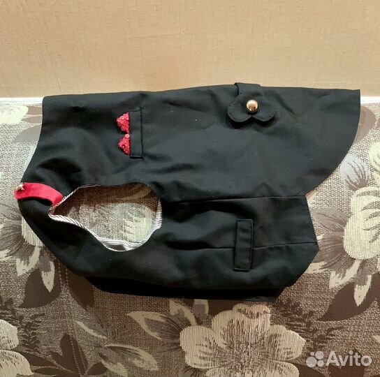 Одежда для собачки