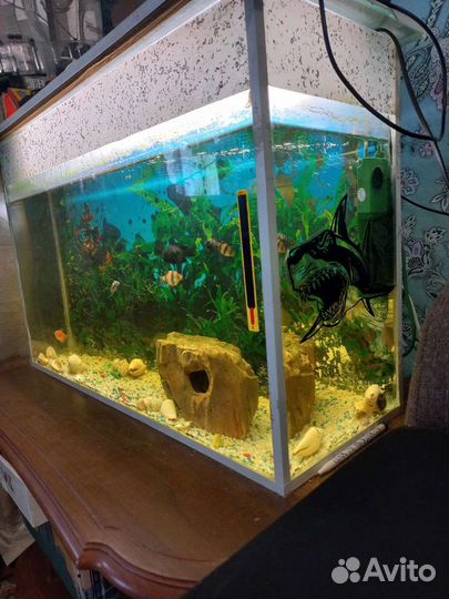 Аквариум
