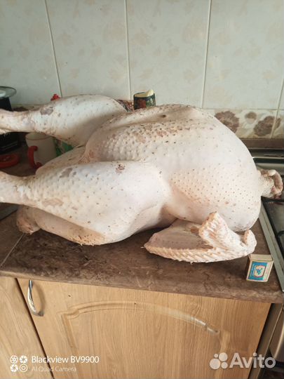 Мясо индейки,домашнее,деревенское