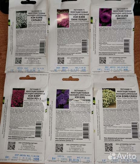 Петуния Тайдал, Изи Вейв, Опера, Шок Вейв