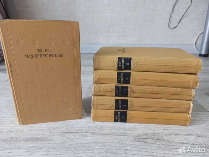 Тургенев И.С. и Пушкин А.С