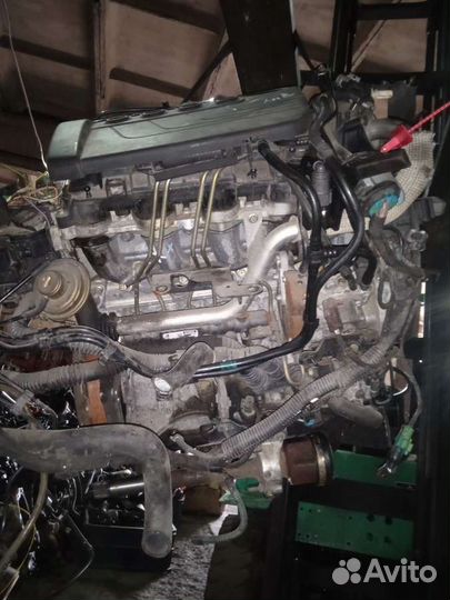 Двигатель Citroen C3 (2002-2010) 2003г. 8HY