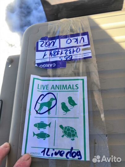 Переноска для большой собаки