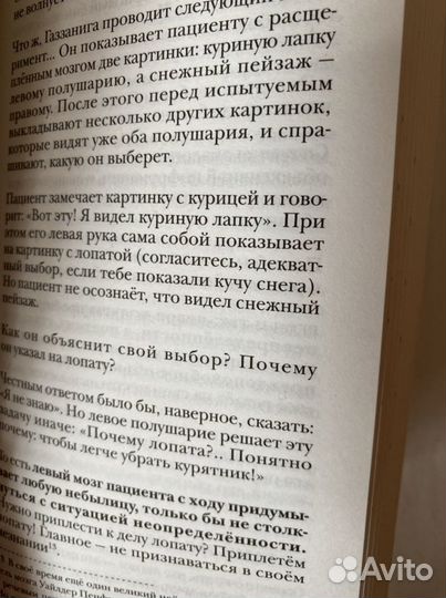 Андрей курпатов