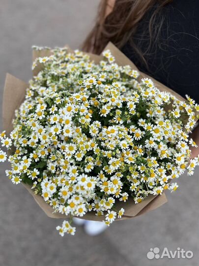 Букет из ромашек. Доставка