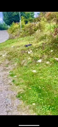 Участок 25 сот. (ИЖС)