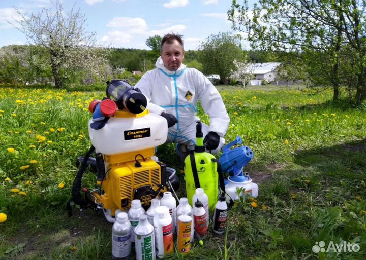 Травление клопов, Уничтожение тараканов, клещей