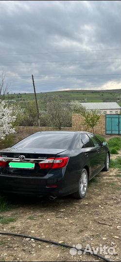 Трансфер в аэропорт и по Дагестану