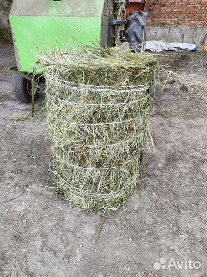 Продам сено и солома в рулонах 2023 года