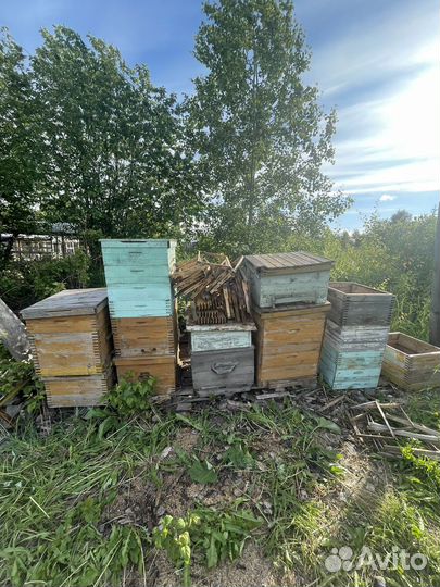 Ульи для пчел