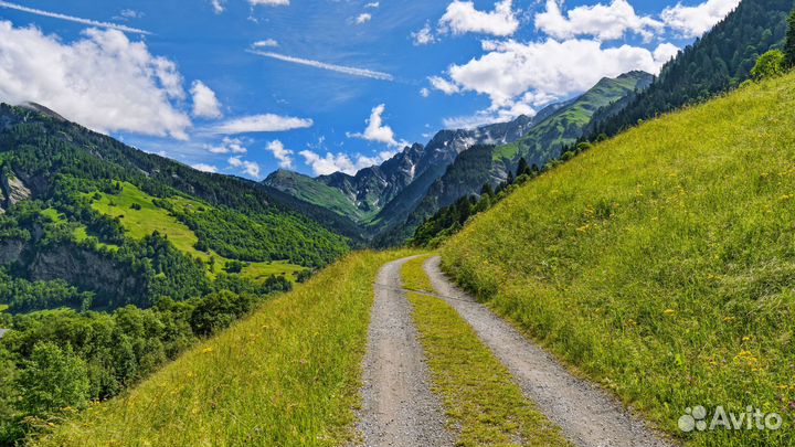 Лазерное мфу Canon LaserBase MF3228