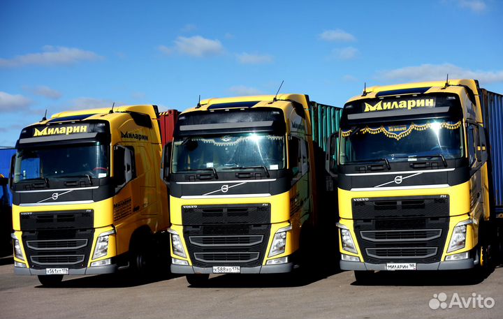 Водитель категории Е (работа в морском порту)