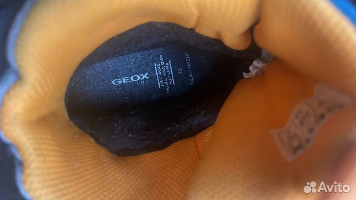 Зимние ботинки geox amphibiox