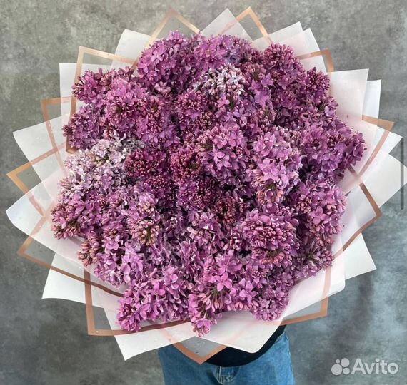Сирень цветы