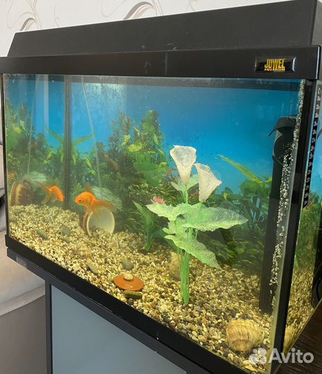 Аквариум с тумбой и рыбками