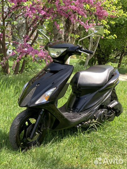 Sudzuki addres 125 S
