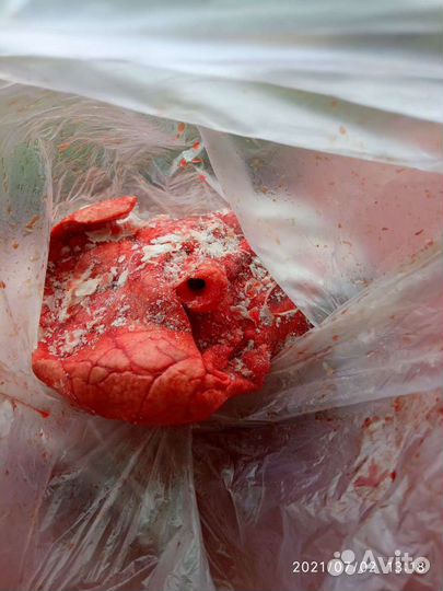 Натуральный корм для животных