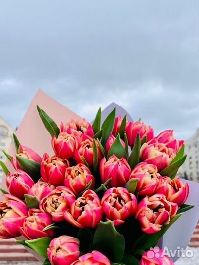 Тюльпаны к 8 марта