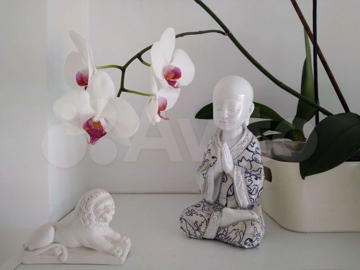 Квартира-студия, 41 м², 16/16 эт.