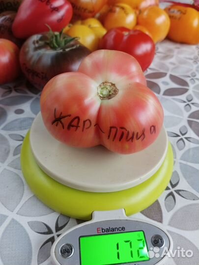 Семена томатов