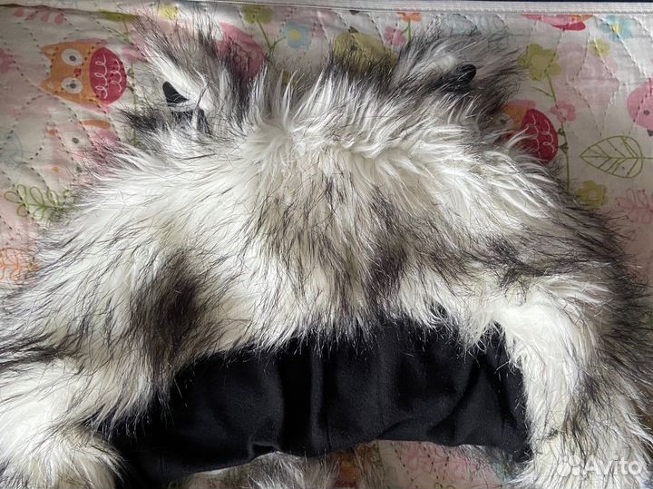 Шапка хаски