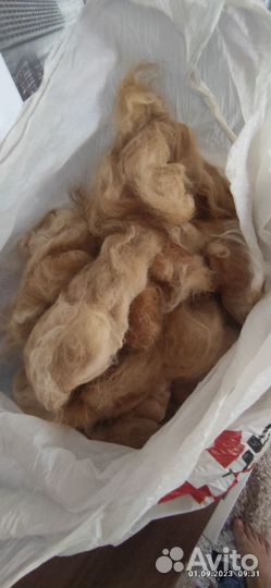 Кошачья шерсть, пух от Мейн-Куна и Сибирского кота