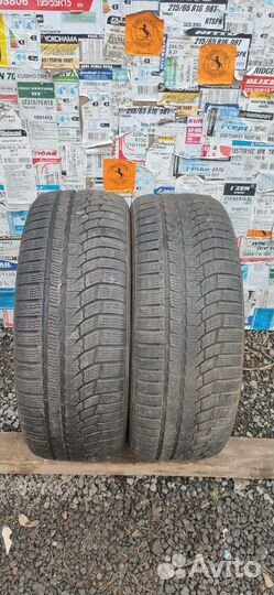 Nokian Tyres WR A4 225/55 R17 101V