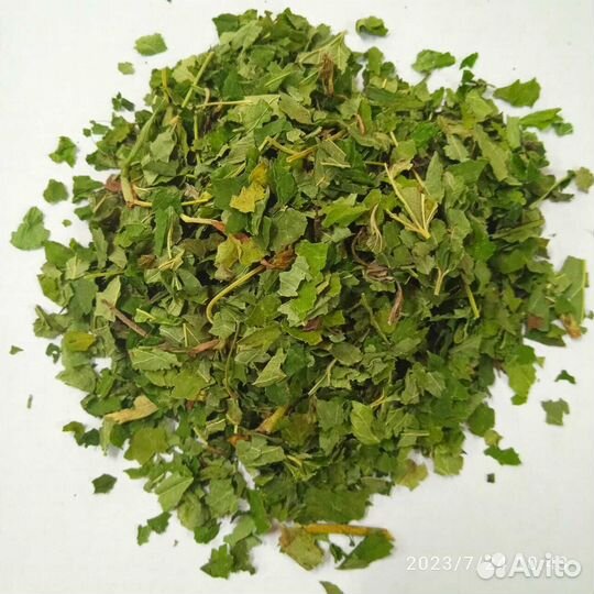 Смородина таежная (лист) рез 10-12 мм Алтай