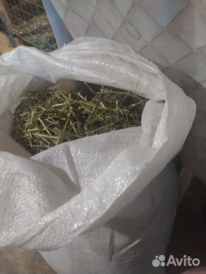 Сено люцерны резаное в мешках по 10 кг