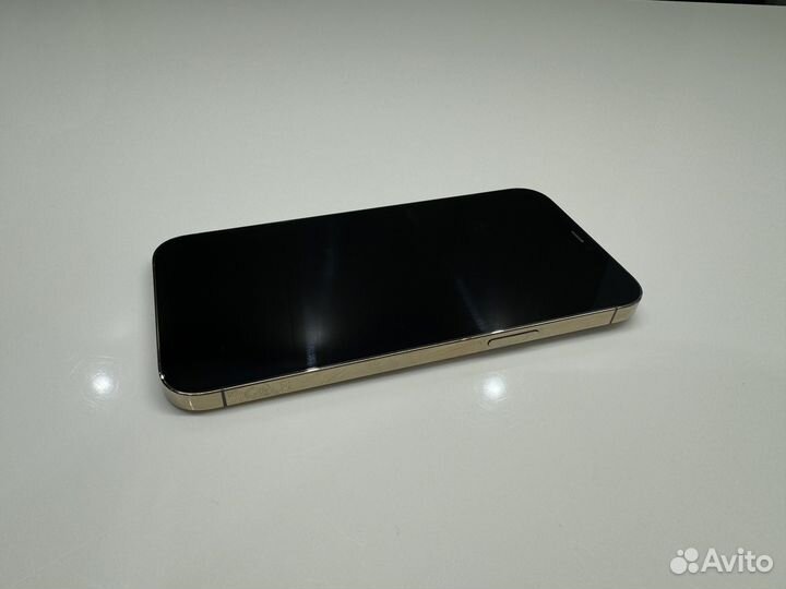 iPhone 12 Pro Max, 256 ГБ