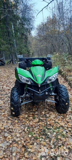 Arctic Cat 450i