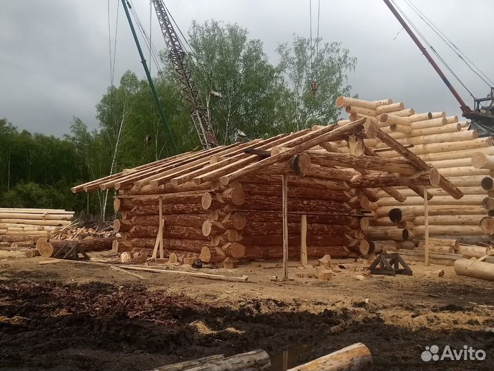 Строительство домов из бревна