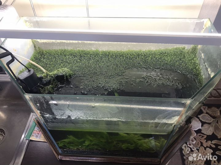 Аквариум для рыбок