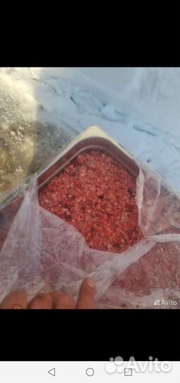 Фарш говяжий для собак