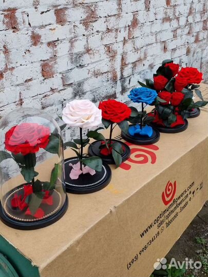 Роза в колбе оптом и в розницу